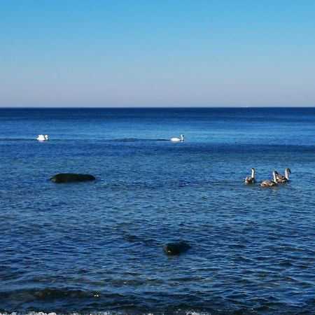 Ferienhaus Muschel Kalkhorst Εξωτερικό φωτογραφία